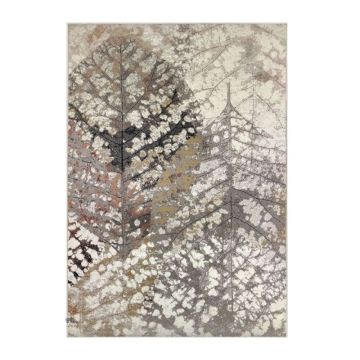 Covor Dreptunghiular, 118 x 170 cm, Bej / Crem / Maro, Model Anny 33001
