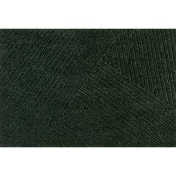 Covoraș De Intrare 60/90 cm