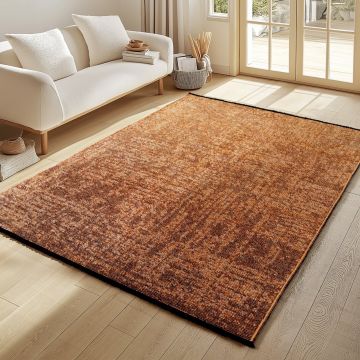 Covor Space Aramiu, 120 x 170cm