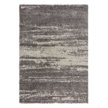 Covor Flair Rugs Reza, 120x170 cm, gri