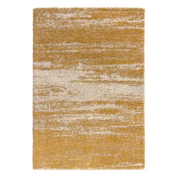 Covor Flair Rugs Reza, 160x230 cm, gri-galben