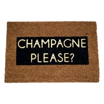 Covoraș intrare din fibre de cocos Artsy Doormats Champagne Glitter, 40 x 60 cm