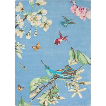 Covor Wedgwood Hummingbird 200x280cm 37808 albastru
