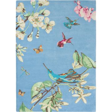 Covor Wedgwood Hummingbird 120x180cm 37808 albastru ieftin