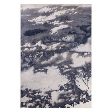 Covor albastru-gri 230x160 cm Aurora - Asiatic Carpets