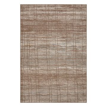 Covor maro/bej 120x170 cm Terrain – Hanse Home