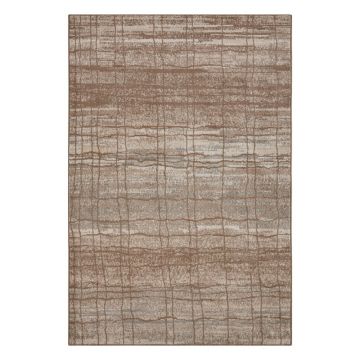 Covor maro/bej 120x80 cm Terrain - Hanse Home