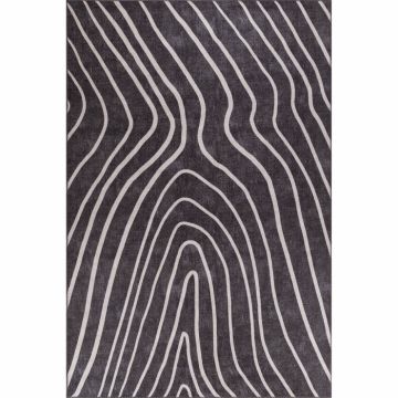 Covor Artloop Funk 421, negru si alb, 230x330 cm