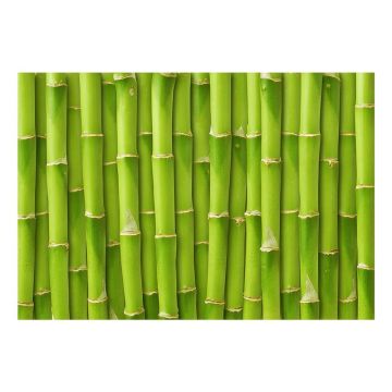 Covoraș din vinilin Bamboo, 52 x 75 cm
