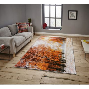 Covor, ASR CRPT-12 , 100x140 cm, Poliester, Multicolor