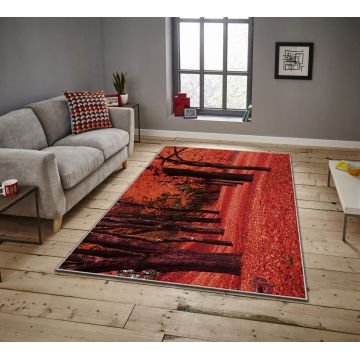 Covor, ASR CRPT-15 , 80x140 cm, Poliester, Multicolor