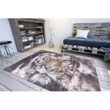Covor, Opus Chenille, 75x230 cm, Poliester , Multicolor