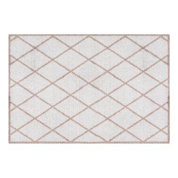 Covoraș intrare Zala Living Scale, 50 x 70 cm, alb-maro