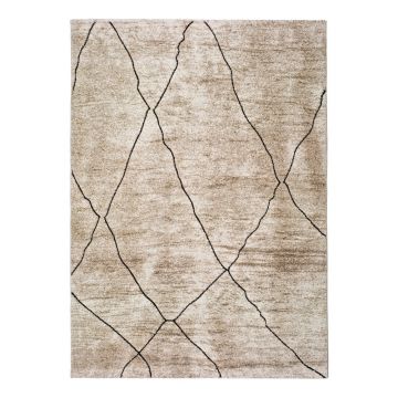 Covor Universal Hydra Beige, 120 x 170 cm, bej