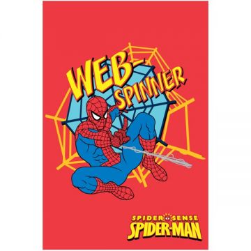 Covor copii Spiderman model 88423 160x230 cm Disney
