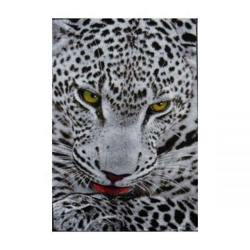 Covor Kolibri Leopard 11122, 80x150 cm, 2300 gr/mp