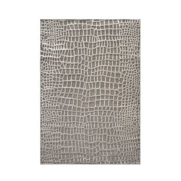 Covor modern living Donato, vascoza, gri, 160 x 230 cm ieftin