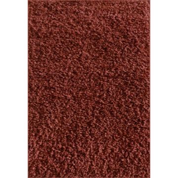 Covor modern Shaggy 3, polipropilena friese, model terra, 60 x 110 cm